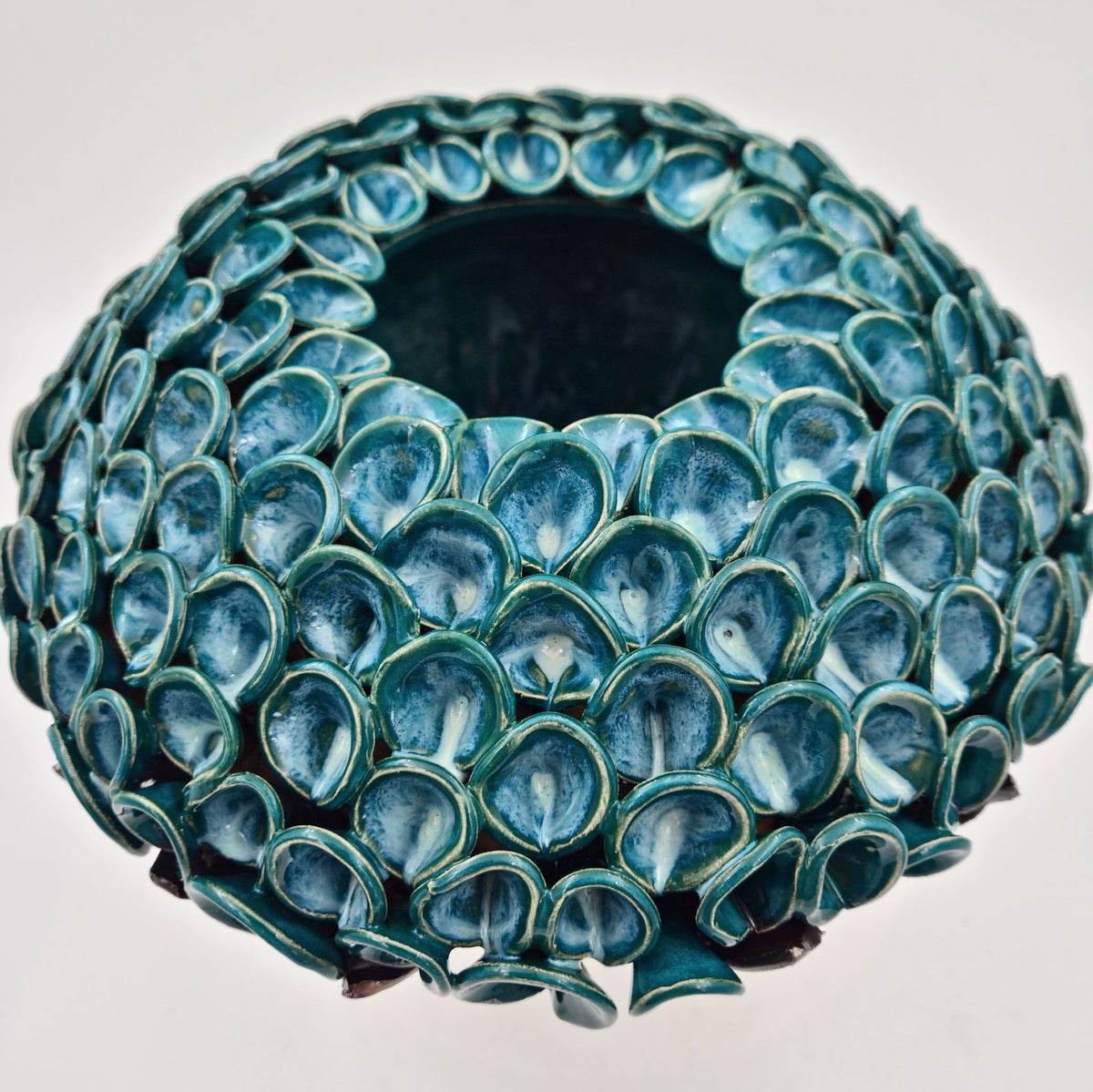 Hortensia knop