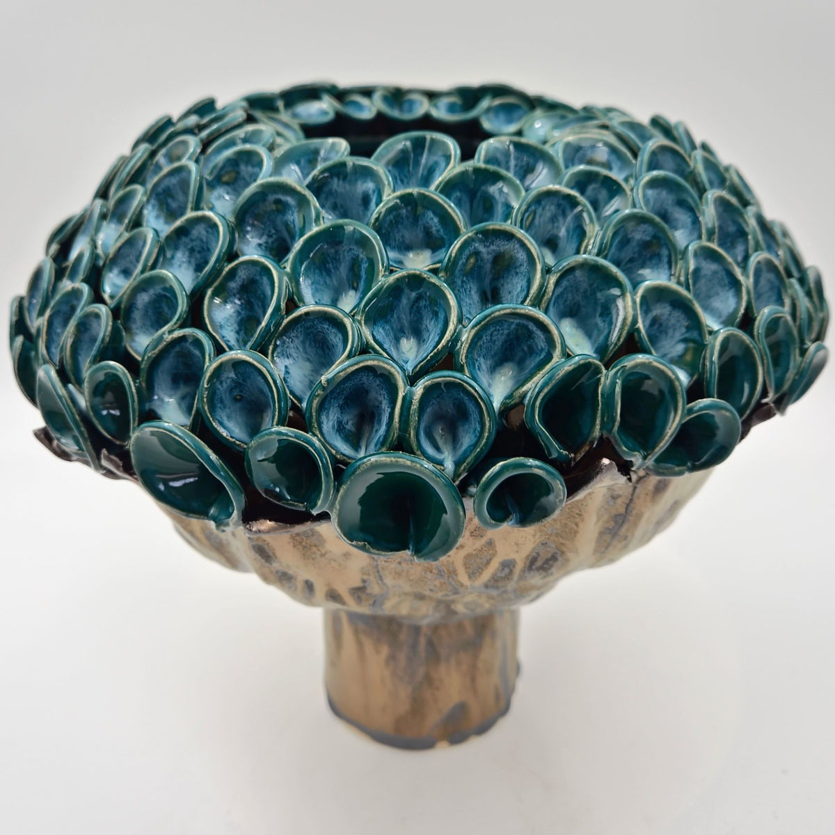Hortensia knop