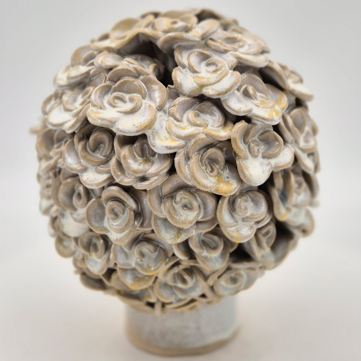 Lille hortensia