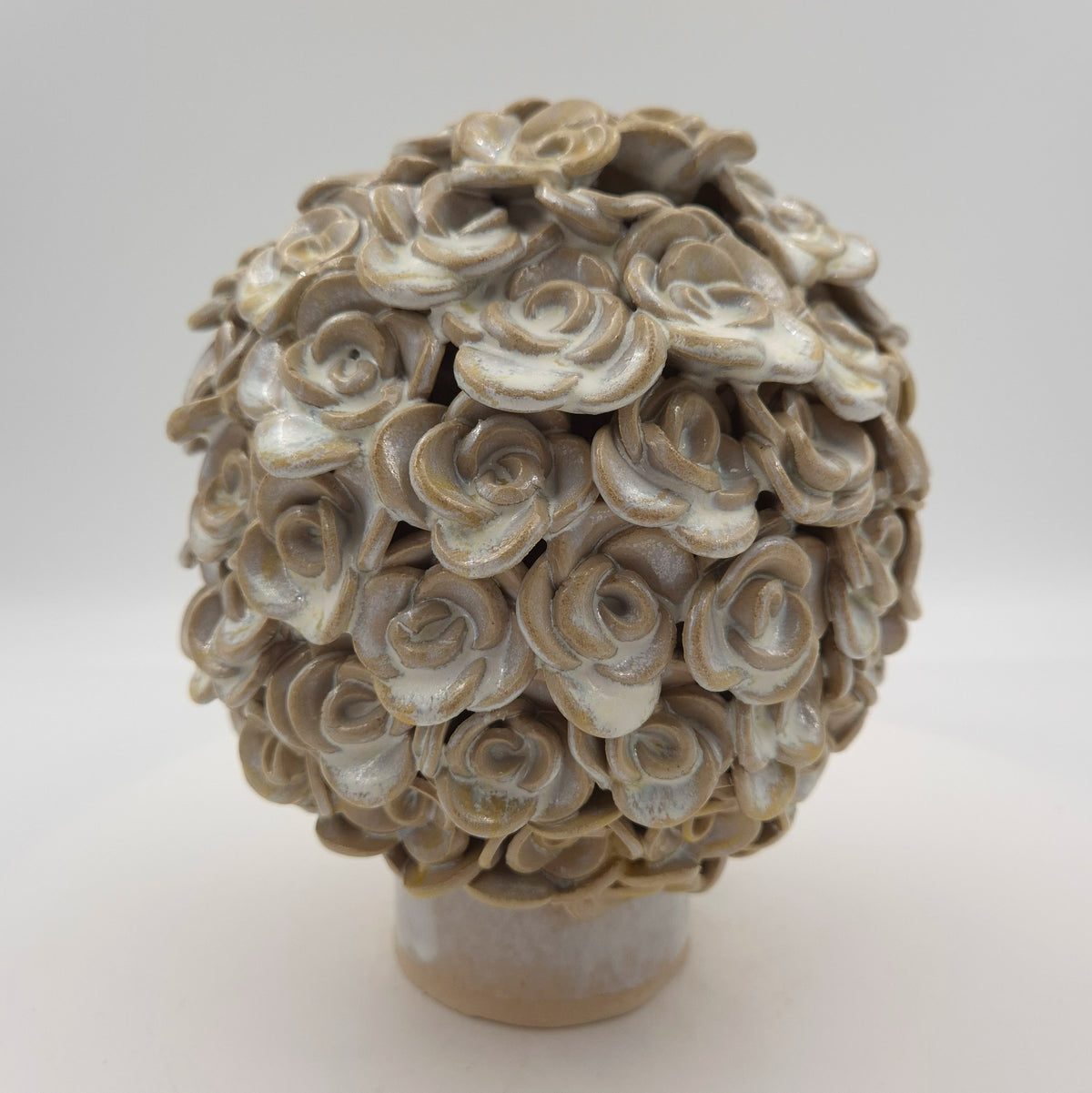 Lille hortensia